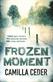 Frozen Moment: 'A good psychological crime novel that will appeal to fans of Wallander and Stieg Larsson' CHOICE